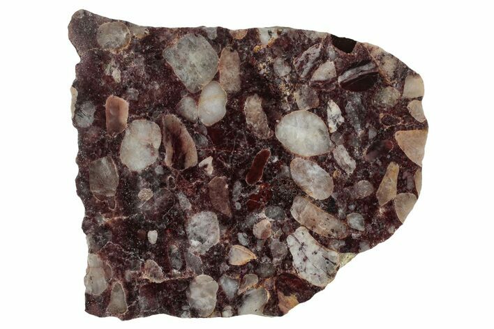 Polished Pudding Stone (Conglomerate) Slab - Michigan #336995